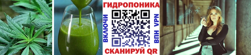 ссылка на мегу как зайти  Данков  Canna-Cookies марихуана  наркота 