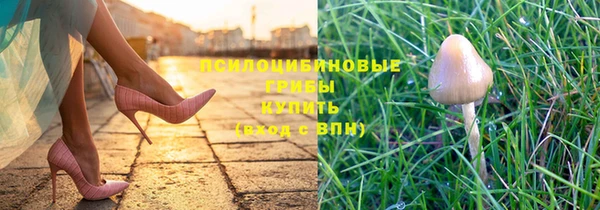 ГАЛЛЮЦИНОГЕННЫЕ ГРИБЫ Алзамай