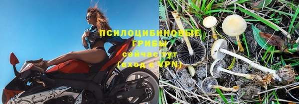 ПСИЛОЦИБИНОВЫЕ ГРИБЫ Алексин