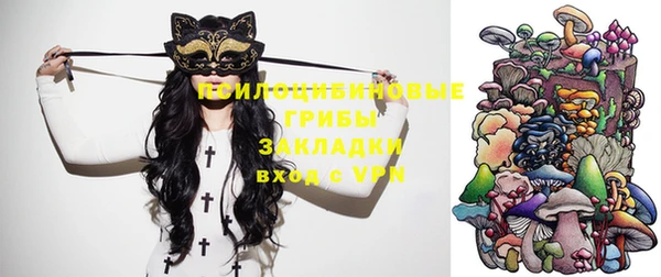 ПСИЛОЦИБИНОВЫЕ ГРИБЫ Алексин