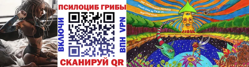 продажа наркотиков  Данков  Галлюциногенные грибы Psilocybe 
